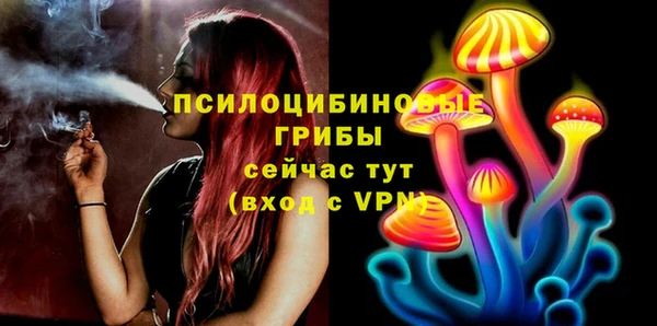 spice Абаза